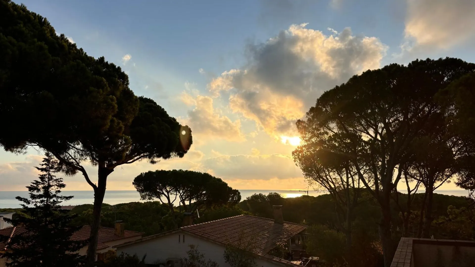 Studio A 300 M De La Playa De Pals Mp 502 Ισπανία